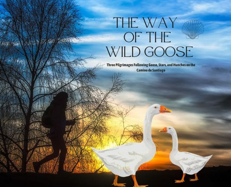 The Way of the Wild Goose