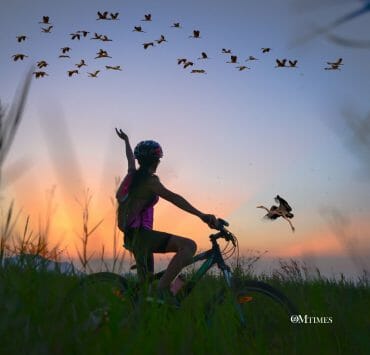 The Heart is the Greatest Teacher