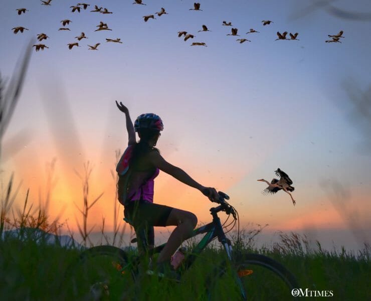 The Heart is the Greatest Teacher