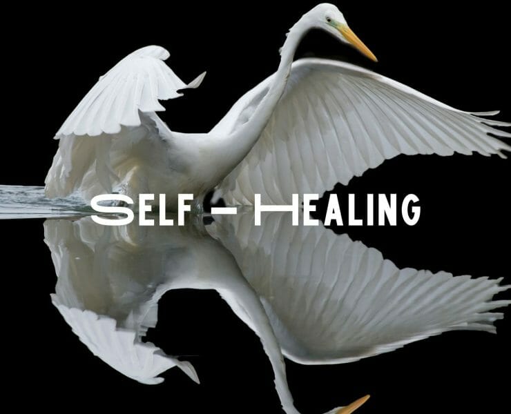 Self-Healing-How to practice?