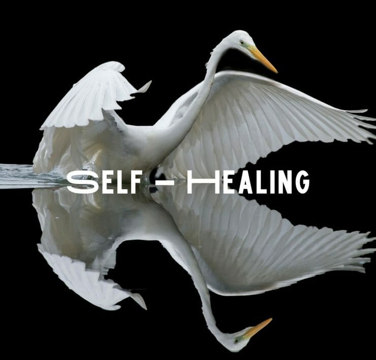 Self-Healing-How to practice?