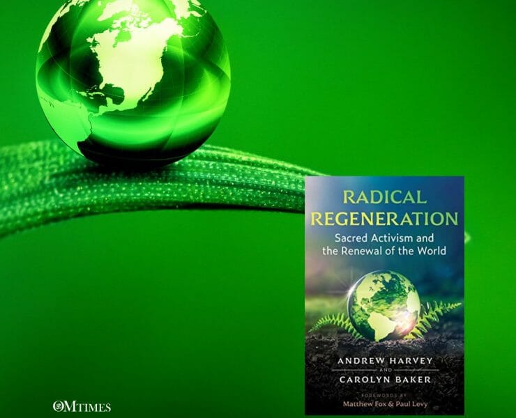 Joy Radical Regeneration