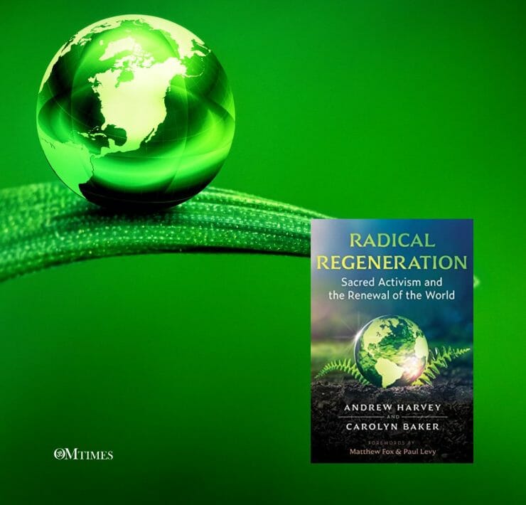 Joy Radical Regeneration