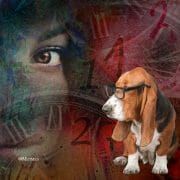 Numerology for Animals