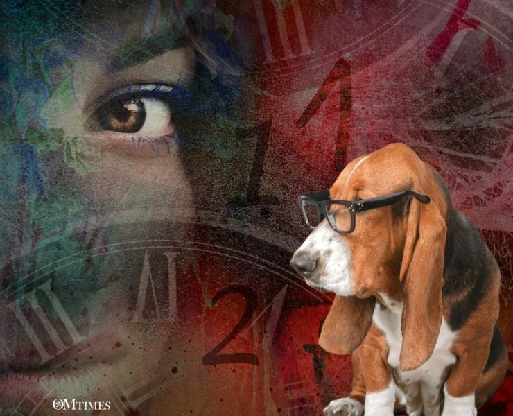 Numerology for Animals