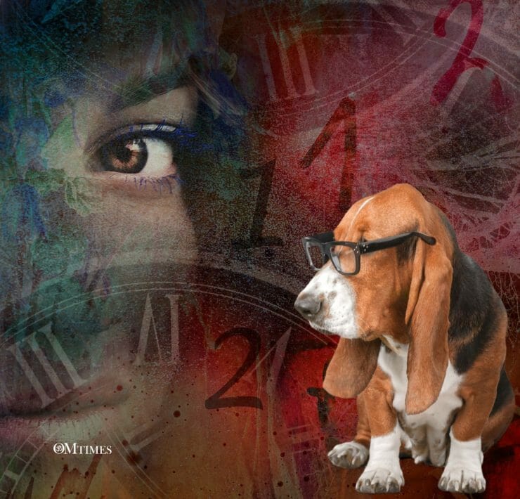 Numerology for Animals