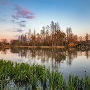 Losing a wetland a few acres in size may not sound much on a global or even national scale, but it’s very serious