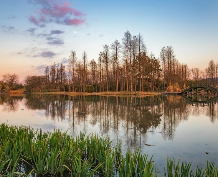 Losing a wetland a few acres in size may not sound much on a global or even national scale, but it’s very serious