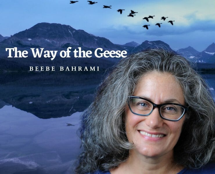 Beebe Bahrami- the way of the geese