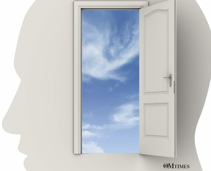 attachment repulsion