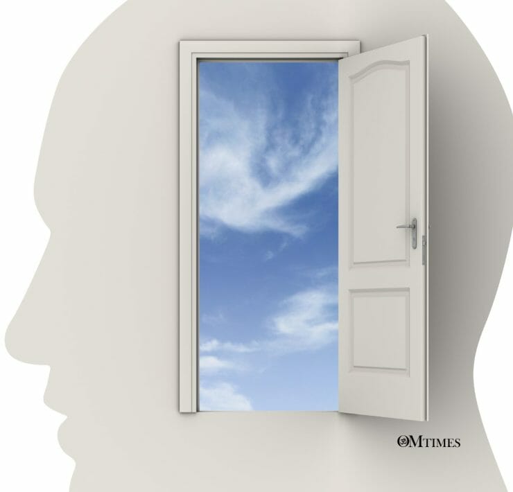 attachment repulsion