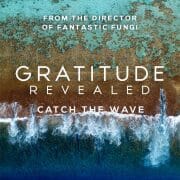 Gratitude Revealed
