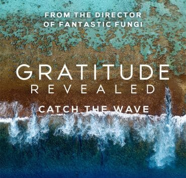 Gratitude Revealed