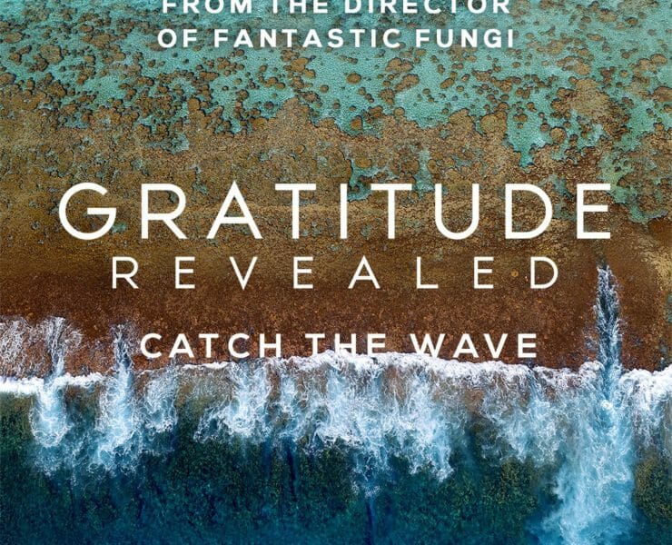 Gratitude Revealed