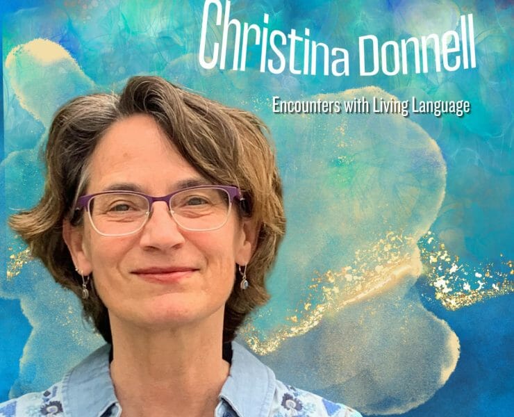 Christina Donnell PhD