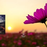 A New Universal Dream