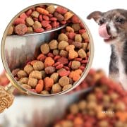 Pet Nutrition