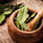 Bay Leaves