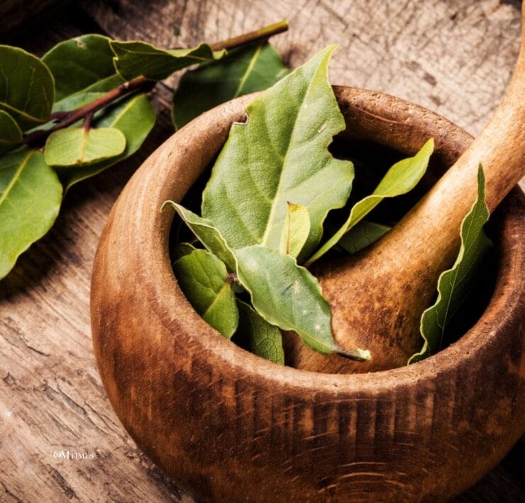 Bay Leaves