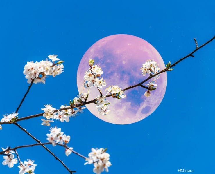 2025 Sagittarius Full Moon