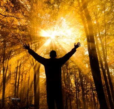 Science and the Akashic Field