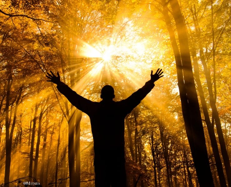 Science and the Akashic Field