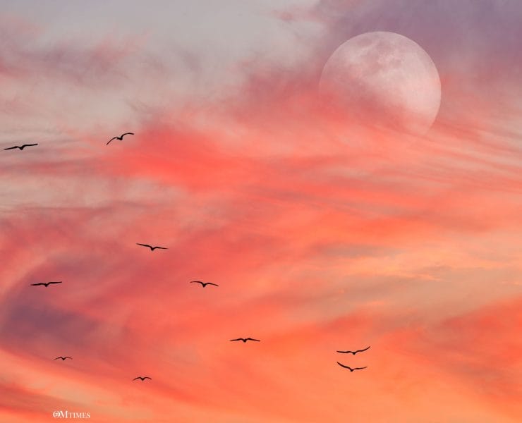 2025 Capricorn Full Moon