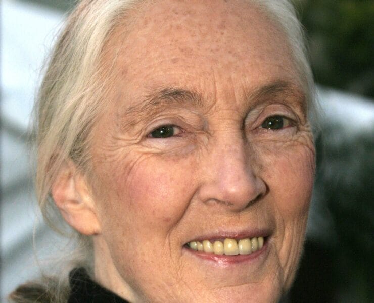 Jane Goodall