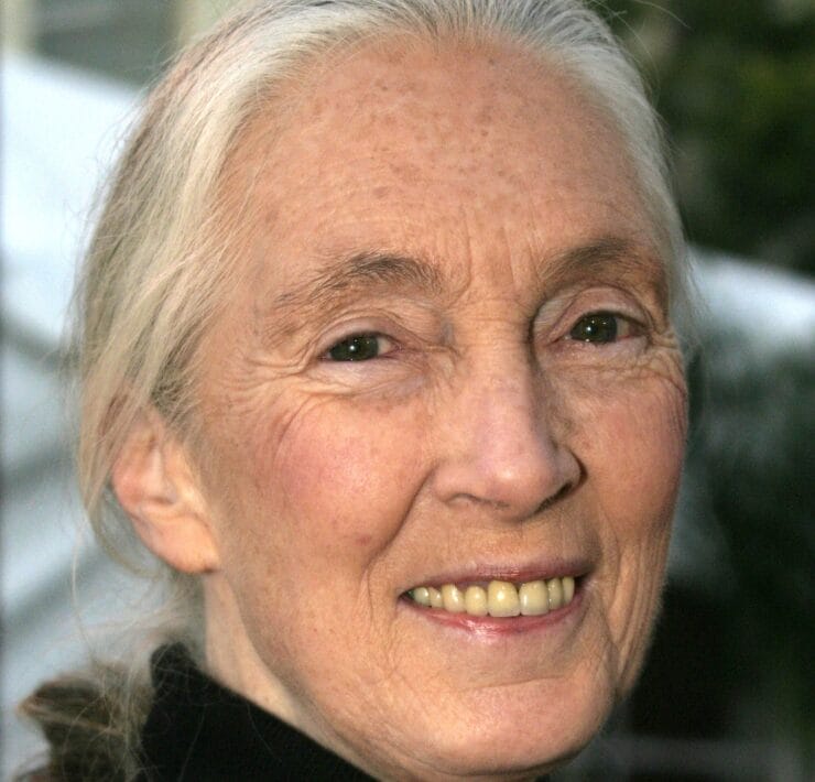 Jane Goodall