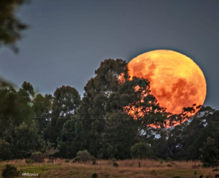 2025 Taurus Full Moon