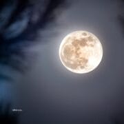 2025 Gemini Full Moon Astrology Forecast