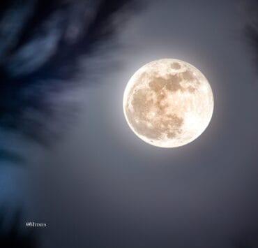 2025 Gemini Full Moon Astrology Forecast