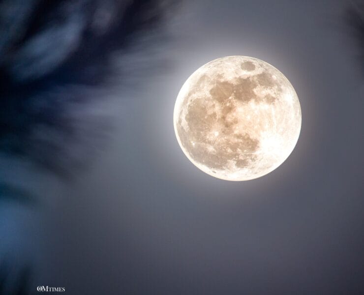 2025 Gemini Full Moon Astrology Forecast