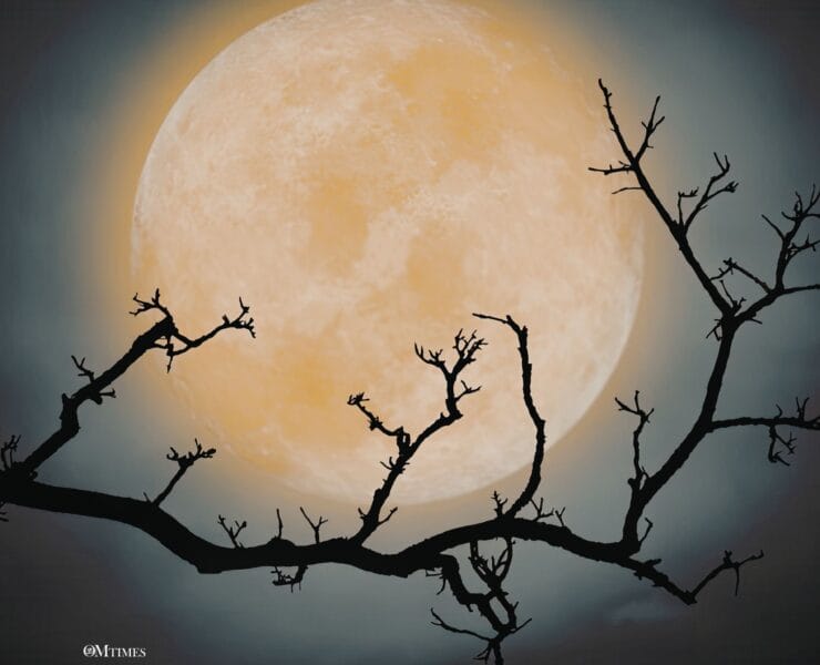 2026 Libra Full Moon