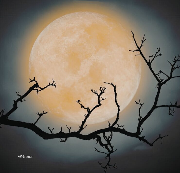 2026 Libra Full Moon