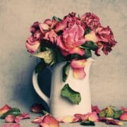 Ask Spiritual Questions April 2026