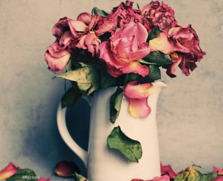 Ask Spiritual Questions April 2026